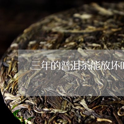 三年的普洱茶能放坏吗/2023092504938