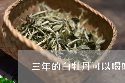 三年的白牡丹可以喝吗/2023120927491