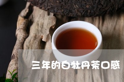 三年的白牡丹茶口感/2023120558714