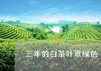 三年的白茶叶底绿色/2023121582718