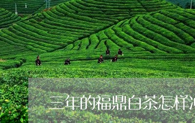 三年的福鼎白茶怎样冲泡/2023092250515