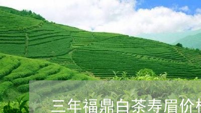 三年福鼎白茶寿眉价格/2023120796969