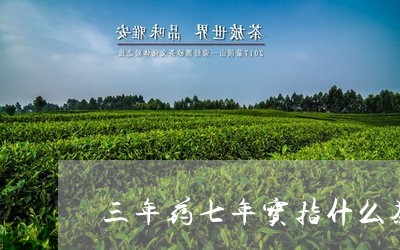 三年药七年宝指什么茶/2023092115159