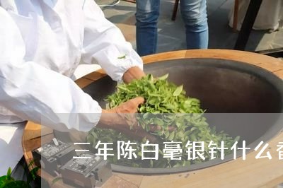 三年陈白毫银针什么香味/2023092425949