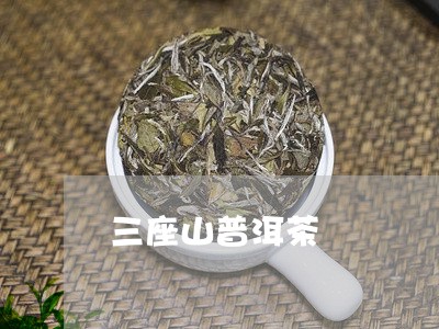 三座山普洱茶/2023090654847