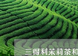 三得利茉莉茶和白茶/2023081217273