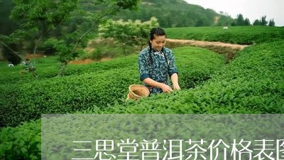 三思堂普洱茶价格表图片/2023050430571