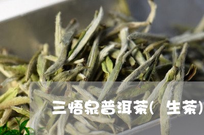 三悟泉普洱茶(生茶)/2023100754848