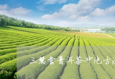 三慧堂普洱茶冲泡方法/2023092960582