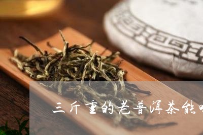 三斤重的老普洱茶能喝吗/2023102420360