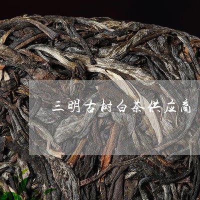 三明古树白茶供应商/2023121618380