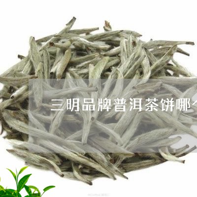 三明品牌普洱茶饼哪个好/2023082896149