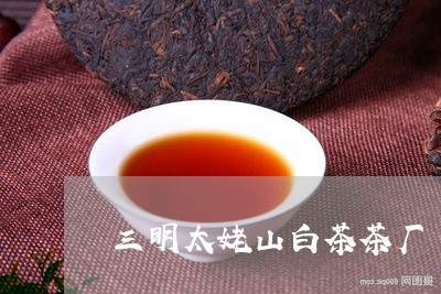 三明太姥山白茶茶厂/2023121660506