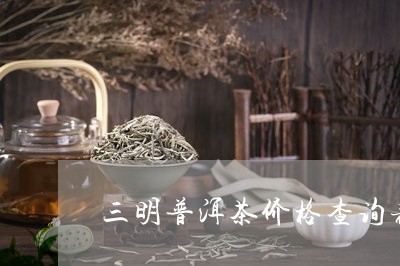 三明普洱茶价格查询表大全/2023110457269