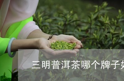 三明普洱茶哪个牌子好/2023092940605