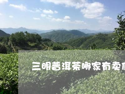 三明普洱茶哪家有卖假的/2023050548370