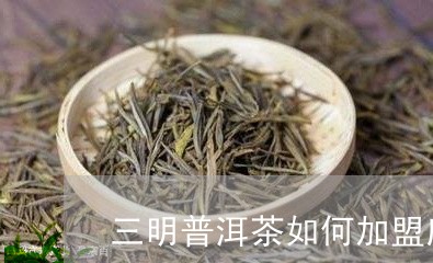 三明普洱茶如何加盟店/2023092530826