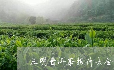 三明普洱茶报价大全最新/2023050546361