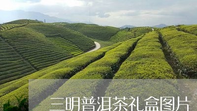 三明普洱茶礼盒图片/2023071019373