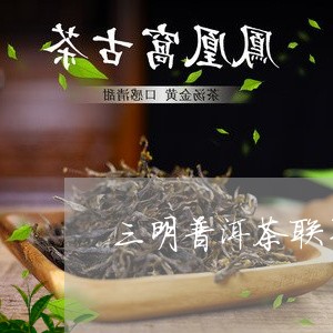 三明普洱茶联系电话/2023091569583