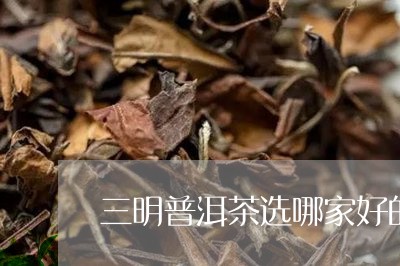 三明普洱茶选哪家好的/2023062836957