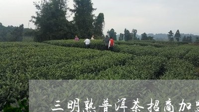 三明熟普洱茶招商加盟/2023092571584