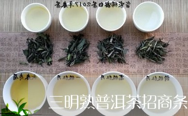 三明熟普洱茶招商条件/2023061432615