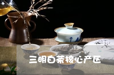 三明白茶核心产区/2023061575260