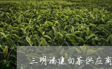 三明福建白茶供应商/2023120551694