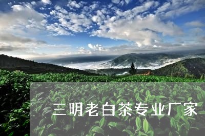 三明老白茶专业厂家/2023121640481