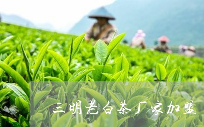 三明老白茶厂家加盟/2023121681825