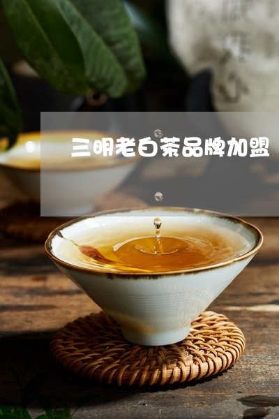 三明老白茶品牌加盟/2023121601048