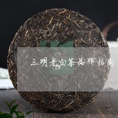 三明老白茶品牌招商/2023121658494