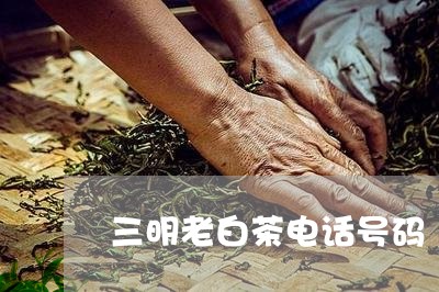 三明老白茶电话号码/2023081210473