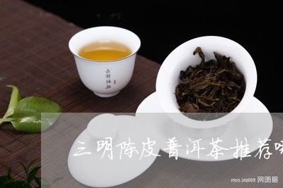 三明陈皮普洱茶推荐哪个牌子/2023052862524