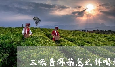 三昧普洱茶怎么样喝最好/2023082853726