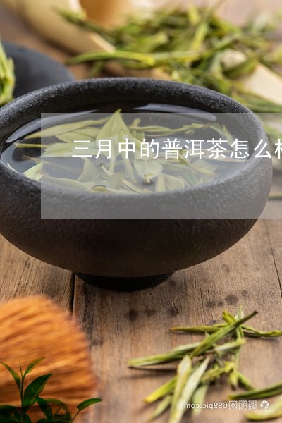 三月中的普洱茶怎么样好喝吗/2023082895351