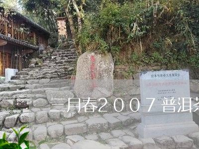 三月春2007普洱茶价格表/2023110515137