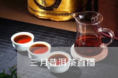 三月普洱茶直播/2023101639361