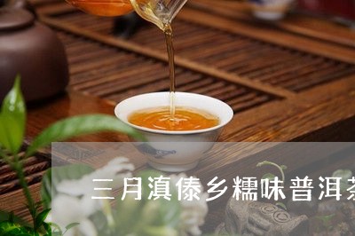 三月滇傣乡糯味普洱茶/2023092611515