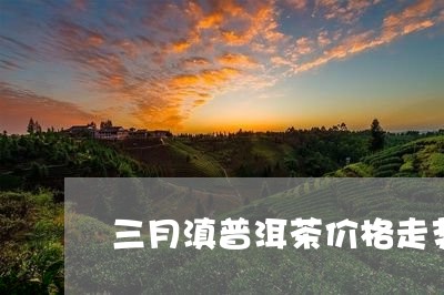 三月滇普洱茶价格走势/2023120625159