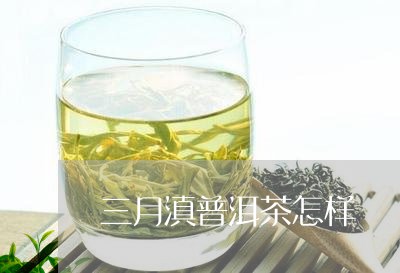 三月滇普洱茶怎样/2023101638582