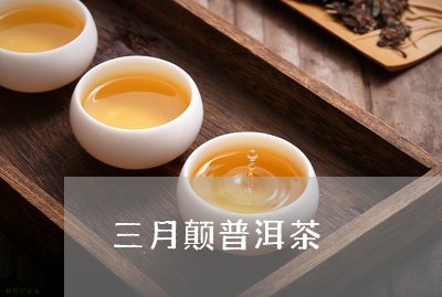 三月颠普洱茶/2023102579693