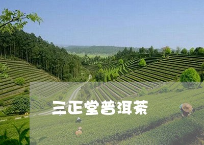 三正堂普洱茶/2023090668151