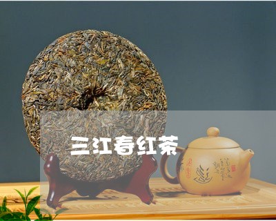三江春红茶/2023121960394