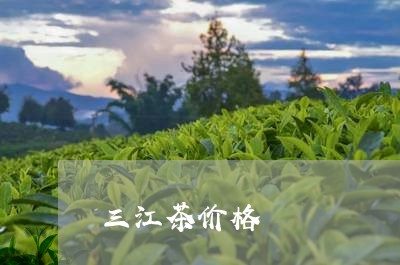 三江茶价格/2023090272849