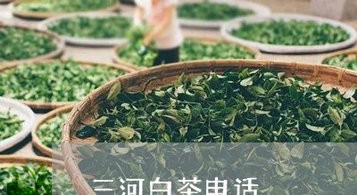 三河白茶电话/2023051376959