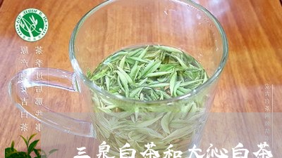 三泉白茶和大沁白茶/2023071448382