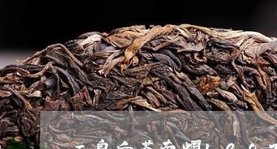 三泉白茶荣耀1987/2023092730511