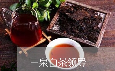 三泉白茶领导/2023051328461